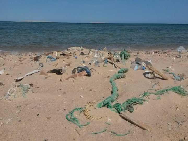 plastic debris on the beach