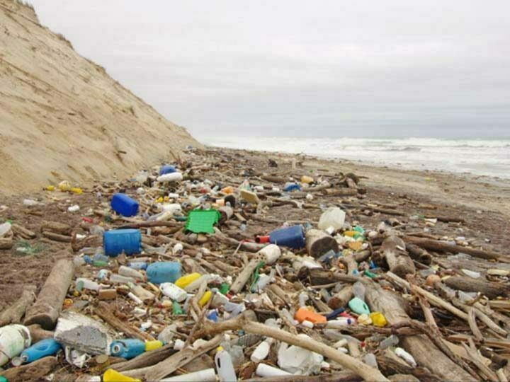 We call on more people to join the plastic recycling business 1 plastic pollution