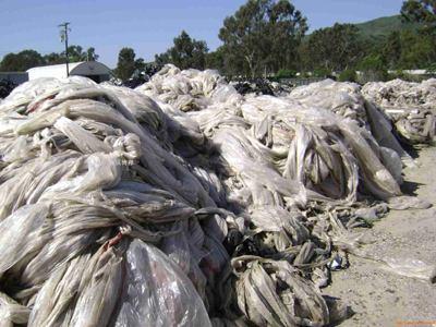 déchets de films plastiques