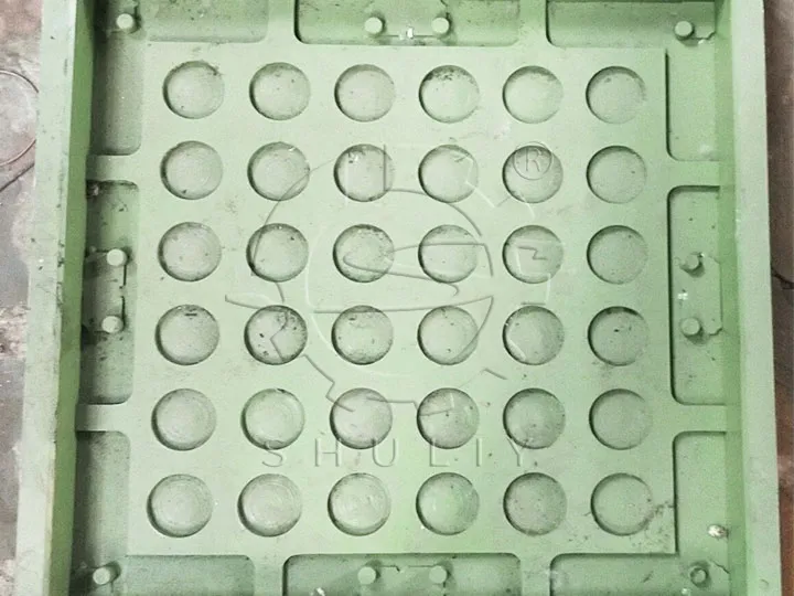 mold