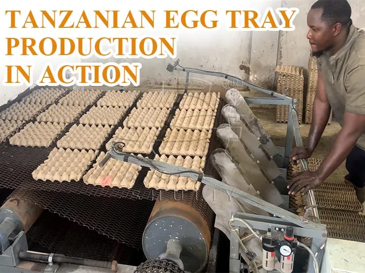 Egg Tray Production in Tanzania