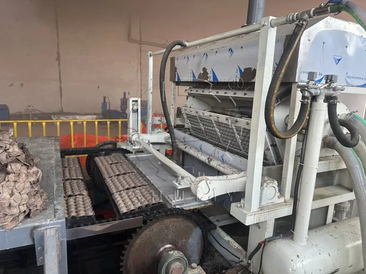 egg tray production plant in Uganda